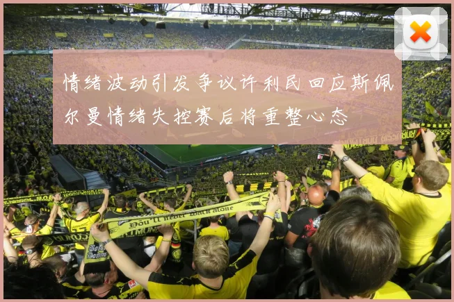 情绪波动引发争议许利民回应斯佩尔曼情绪失控赛后将重整心态