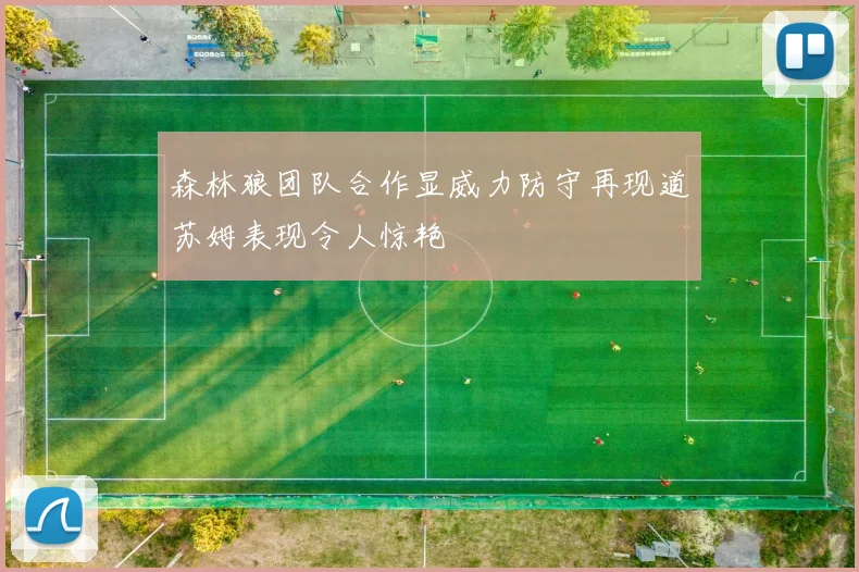 森林狼团队合作显威力防守再现道苏姆表现令人惊艳