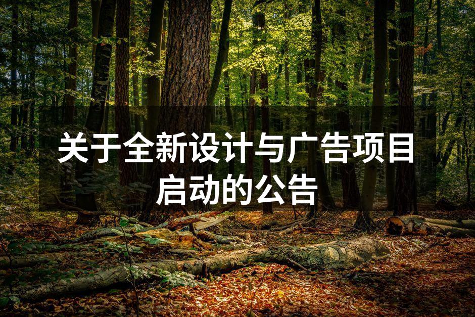 项目启动仪式现场